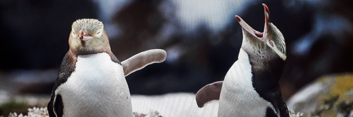 😒 banner