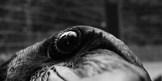 nikhilrenuse's profile banner image