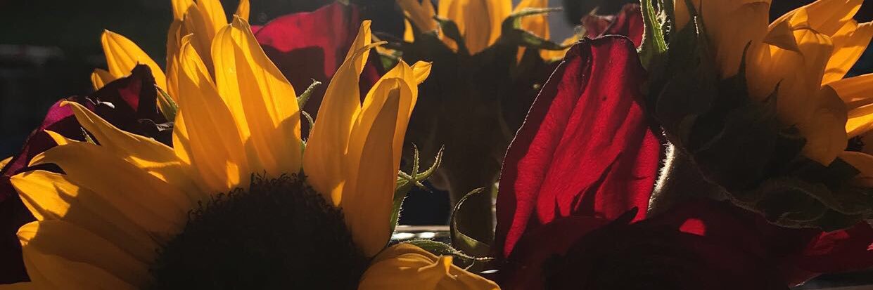 mads_frye's profile banner image