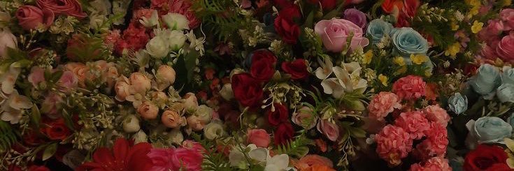 valeencuevas's profile banner image