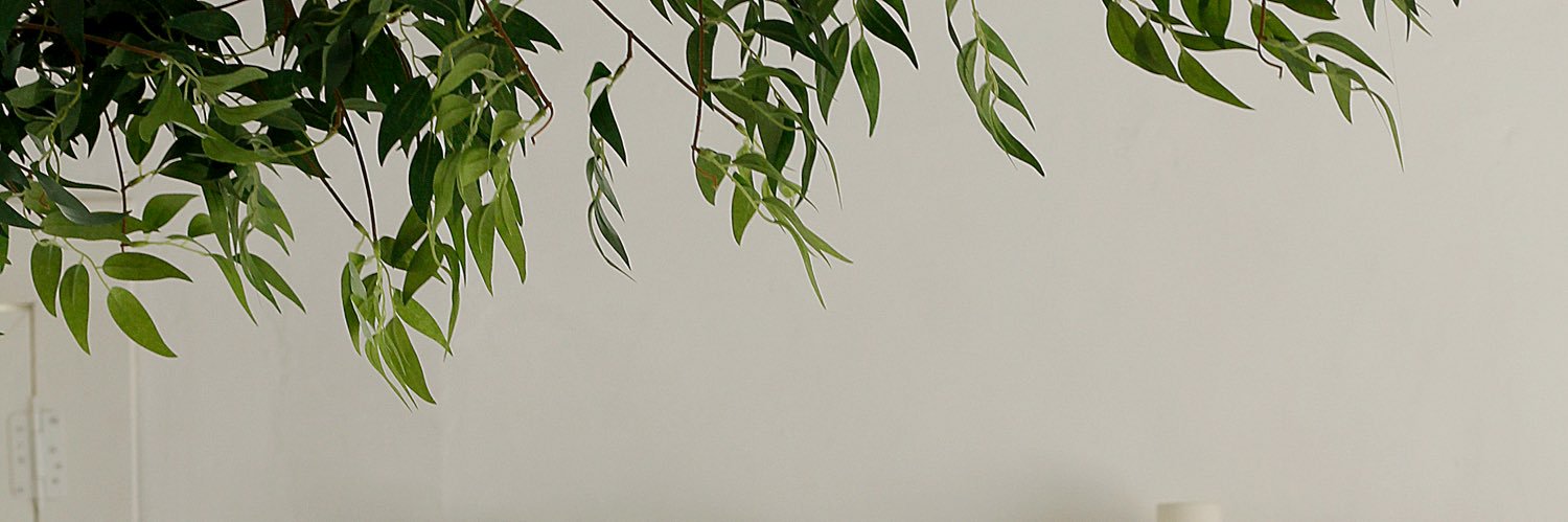mayiflow_er's profile banner image