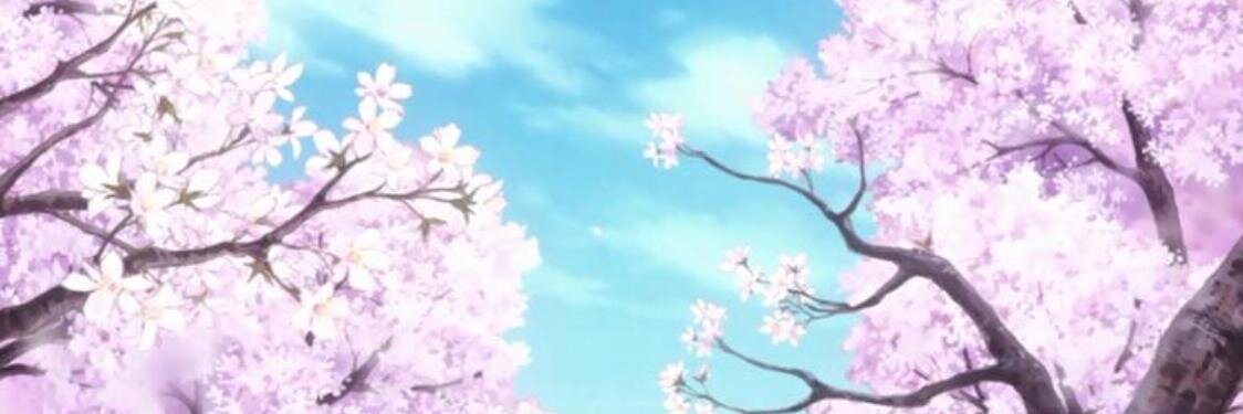 EurekaShopIndo's profile banner image