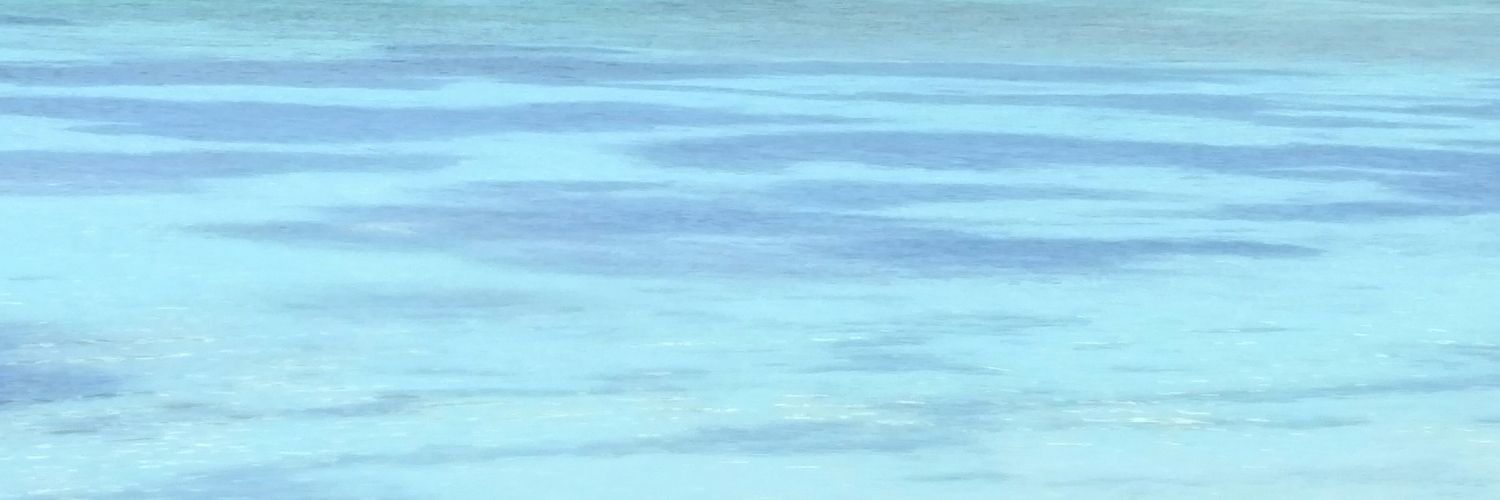 twelvevltman's profile banner image