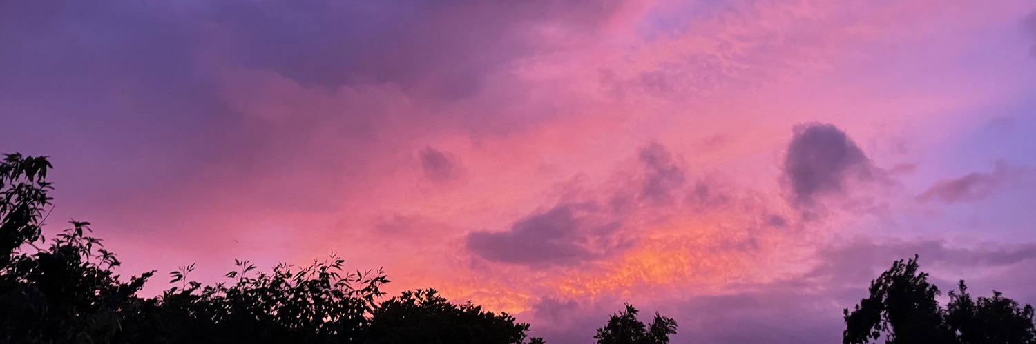 gmerc__'s profile banner image