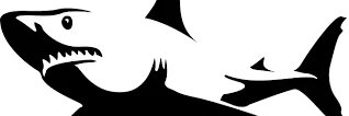 SUI_SHARKS's profile banner image