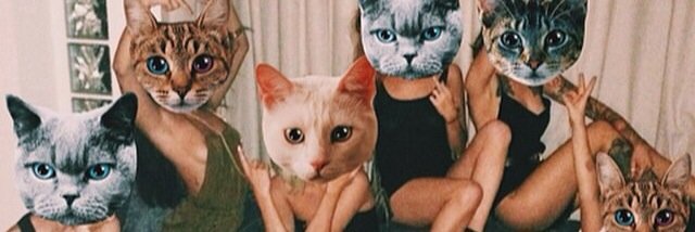 Nataliemorton89's profile banner image