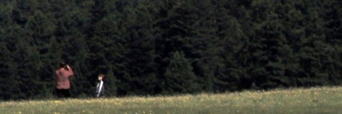 twntyscndecnn's profile banner image