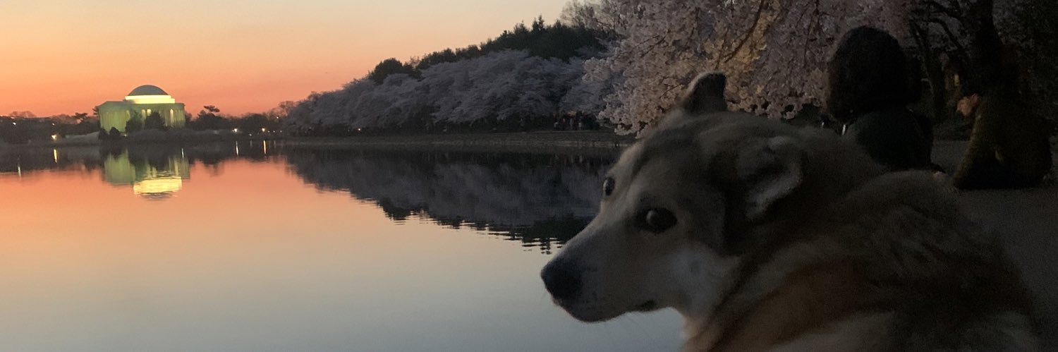 megtross's profile banner image
