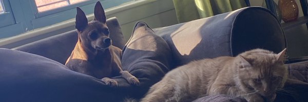 xragin0 Profile Banner