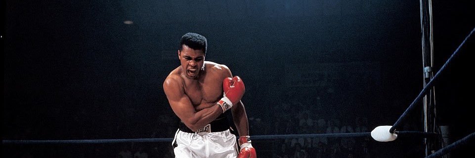 xbabygiraffe's profile banner image