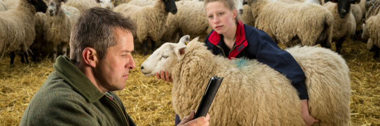 FarmWeekly_Jobs's profile banner image