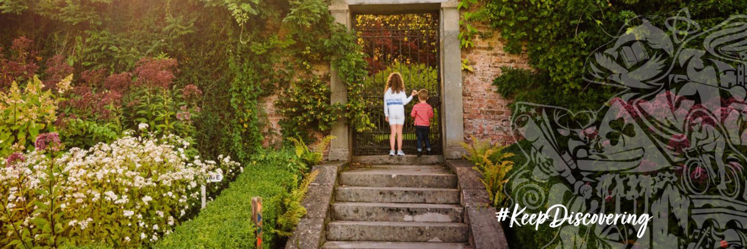 Discover Ireland banner