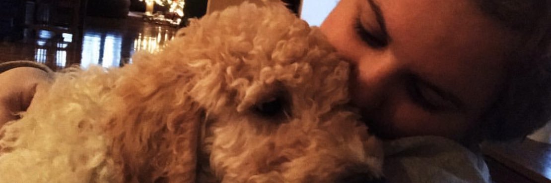 PatriciaUsero's profile banner image