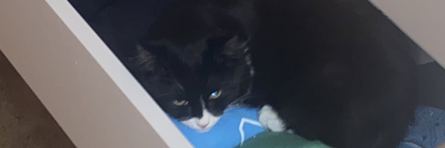 Hailey banner
