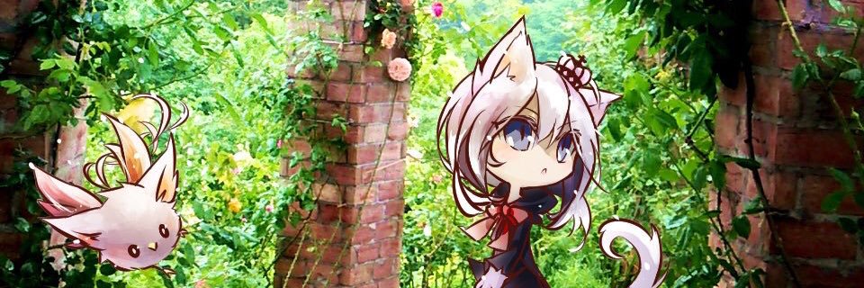 mof_cle's profile banner image