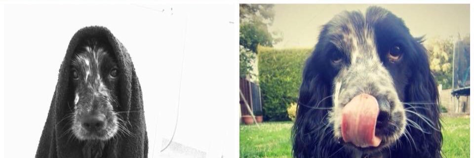 Neil Martin banner