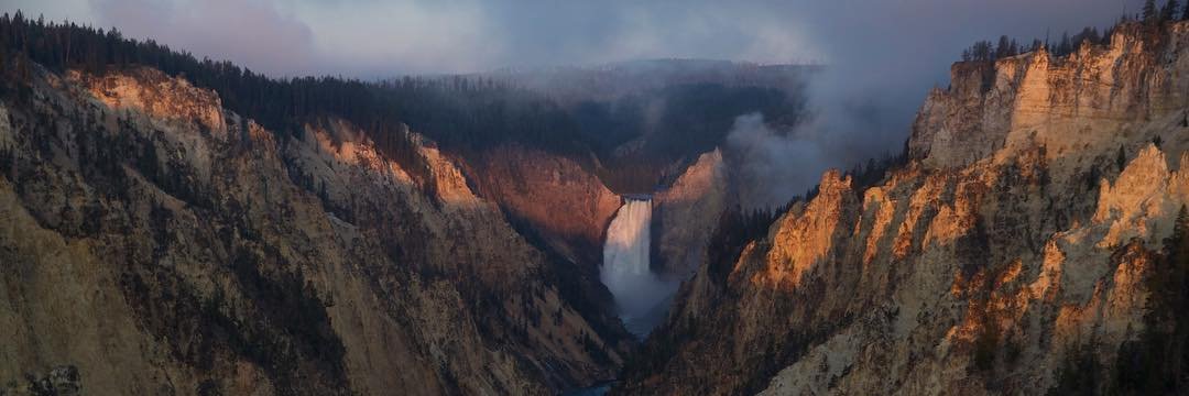 Dean Parisian banner
