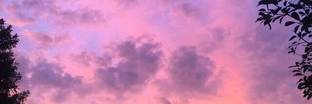 _selfiefreak_'s profile banner image