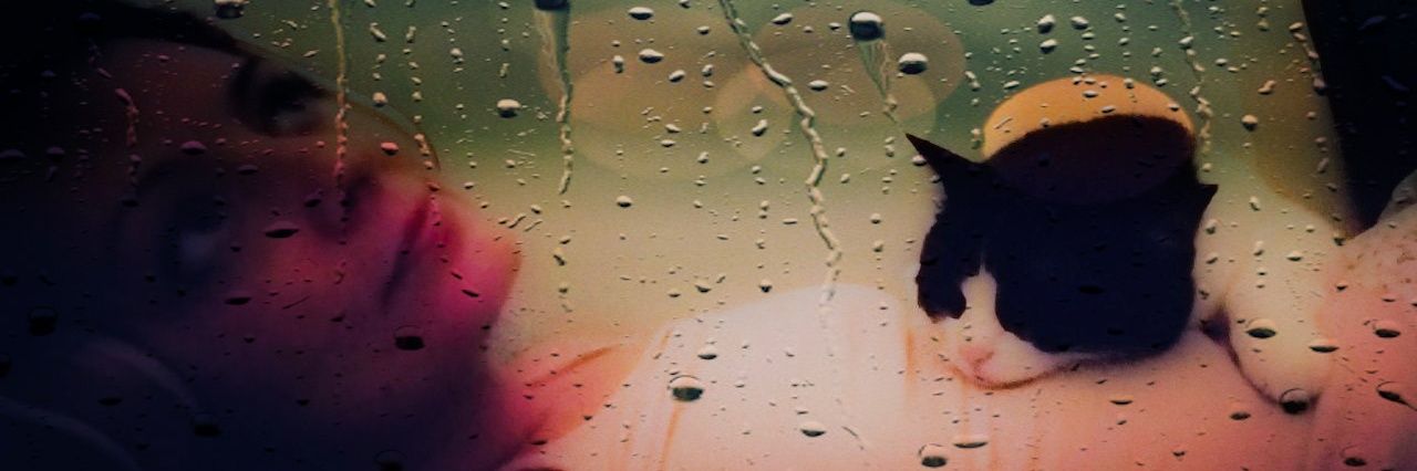 _Roseness_'s profile banner image