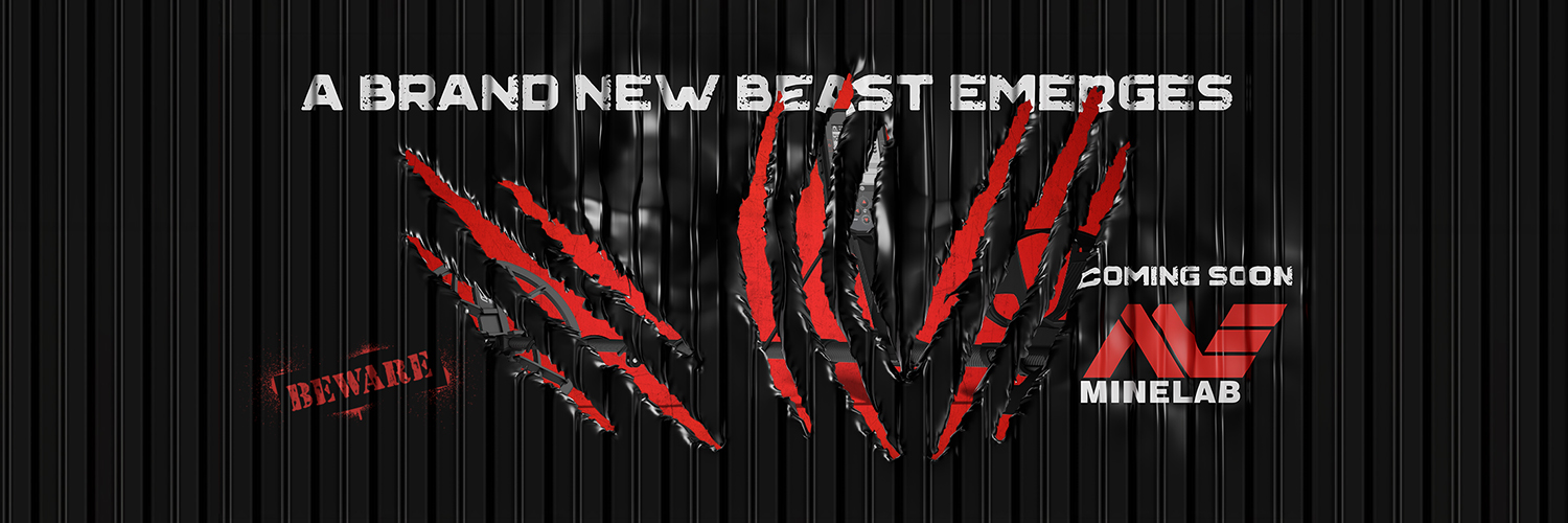 Minelab Metal Detectors banner