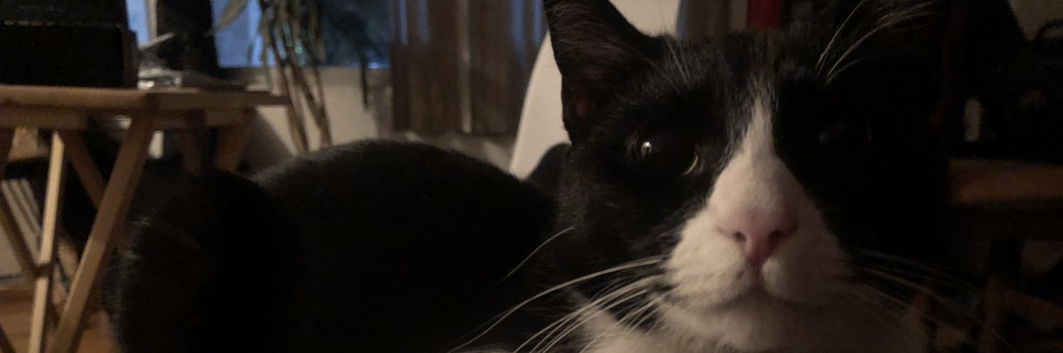 liimeop's profile banner image