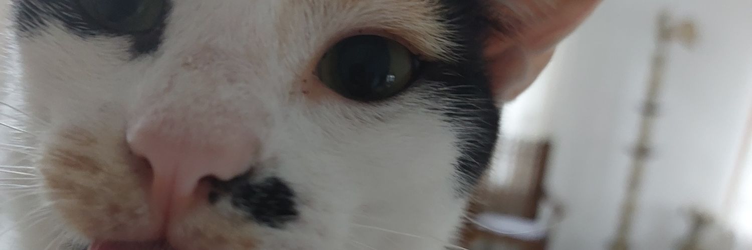 Devindu99's profile banner image