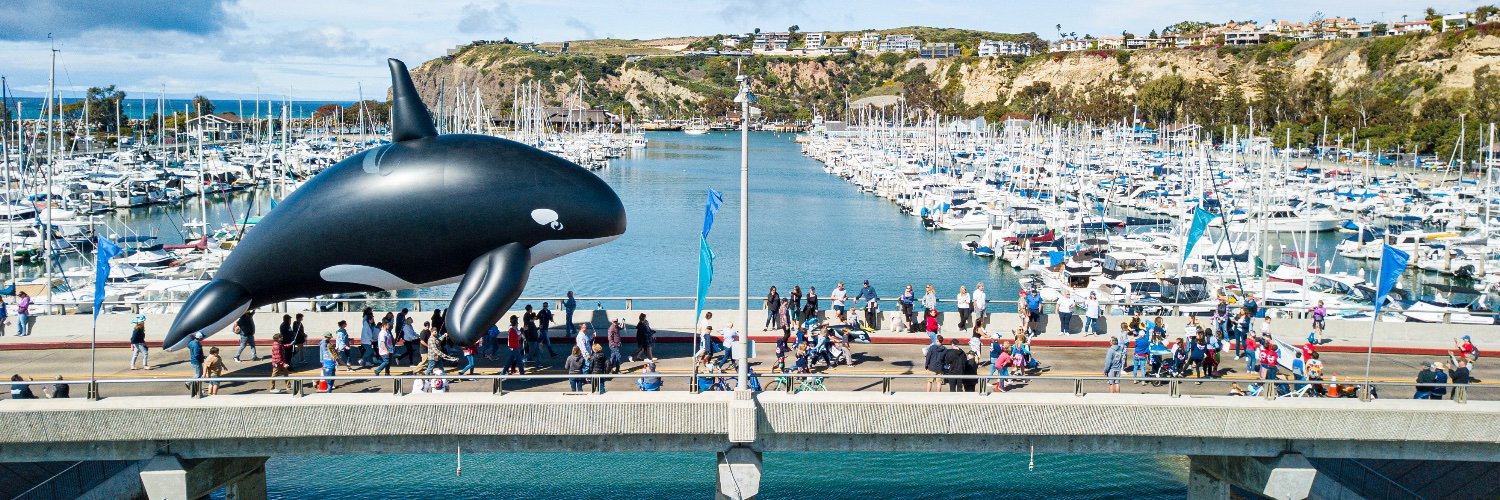 Festival Of Whales banner