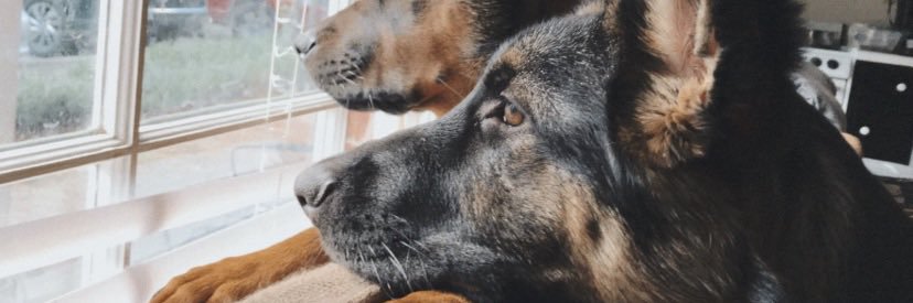 marleereagan's profile banner image
