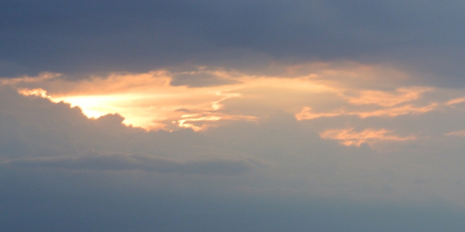 Bertus le Roux banner