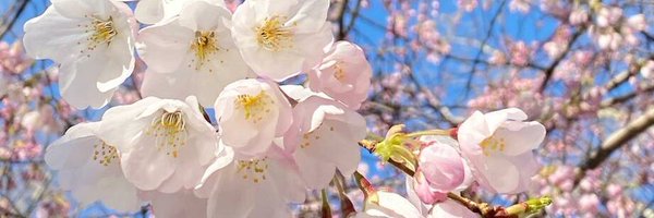 mmillions Profile Banner