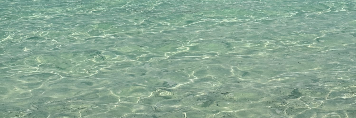 ximmmmmeee's profile banner image