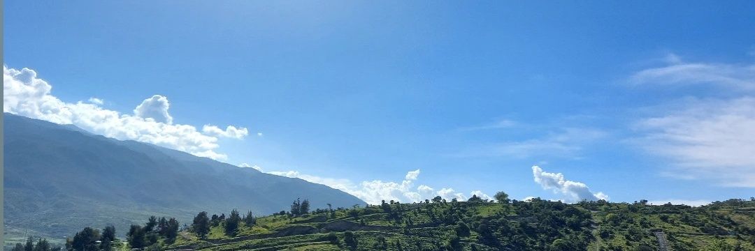 Dianiiza's profile banner image