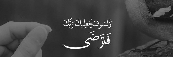 mony_E8's profile banner image