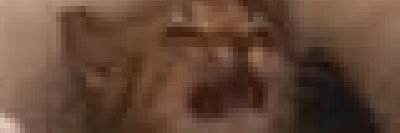 El_Panderoso's profile banner image