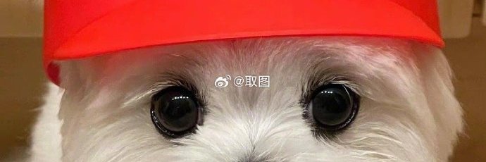 Musdalifah Rahman banner