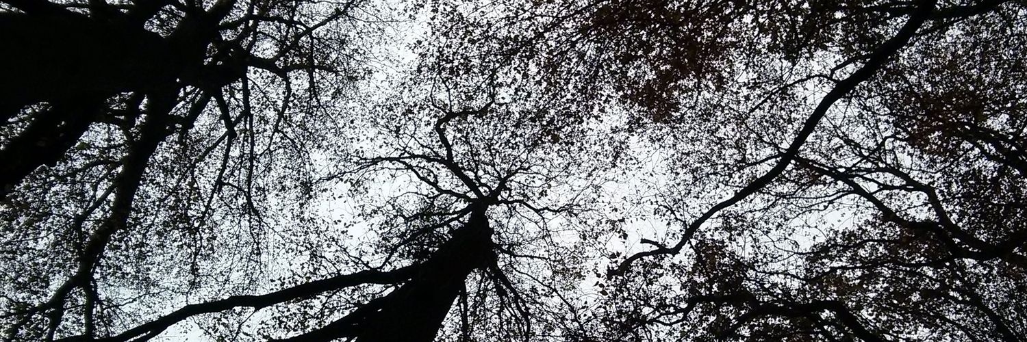 nightship's profile banner image