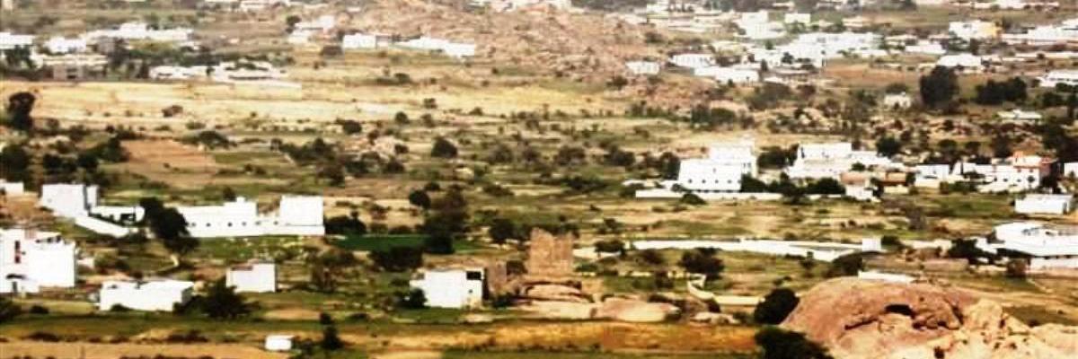 سعيد معيض - صحفي banner