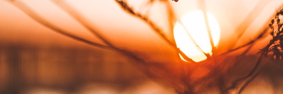 AEvansss's profile banner image