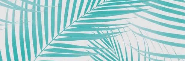 Milysosa_'s profile banner image