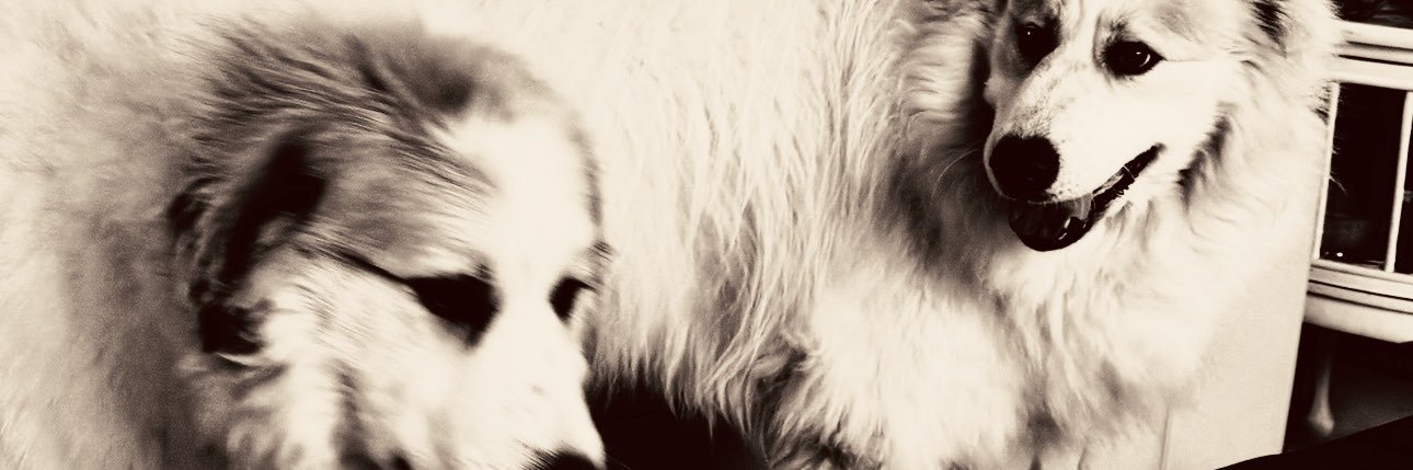 tachless תכלס banner