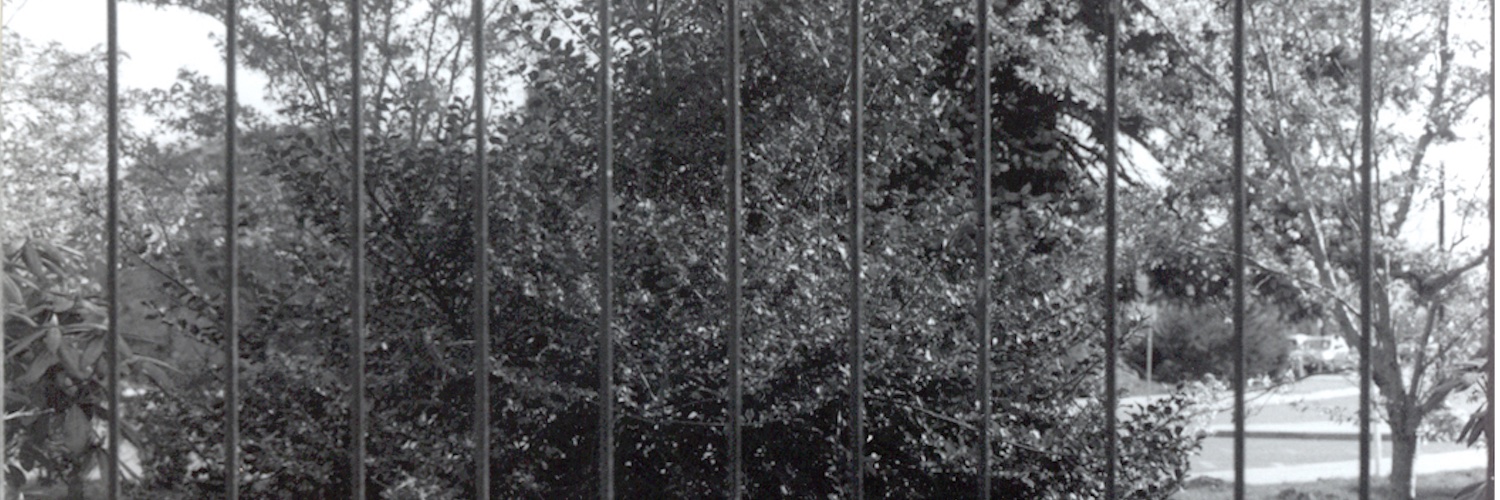 Mtothe4thPower_'s profile banner image