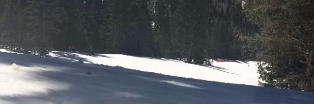 aidandivarco's profile banner image