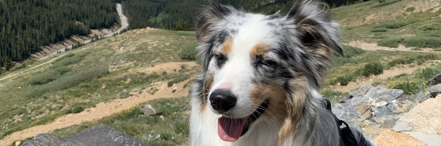 Brady Beckman banner