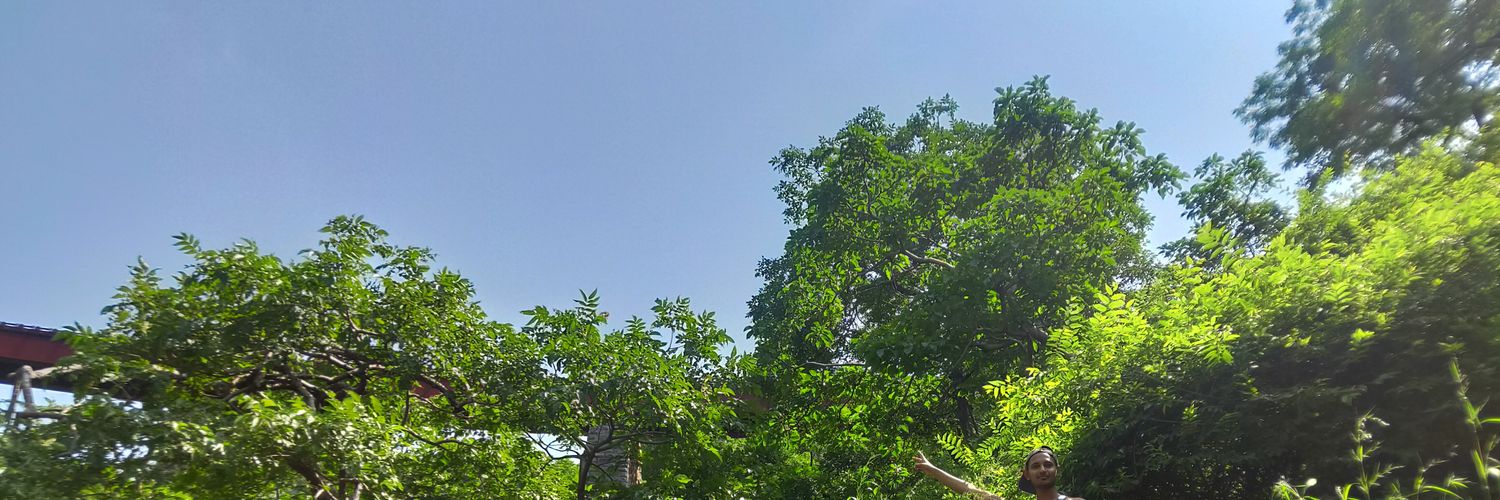 Gajsa01's profile banner image