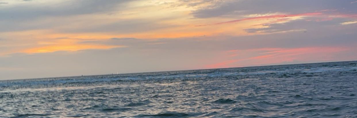 daisy42_'s profile banner image