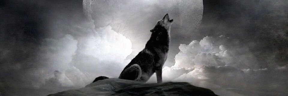 ENG_SHMADI's profile banner image