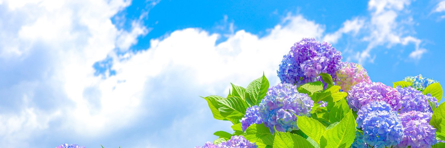 Prettyfufu's profile banner image