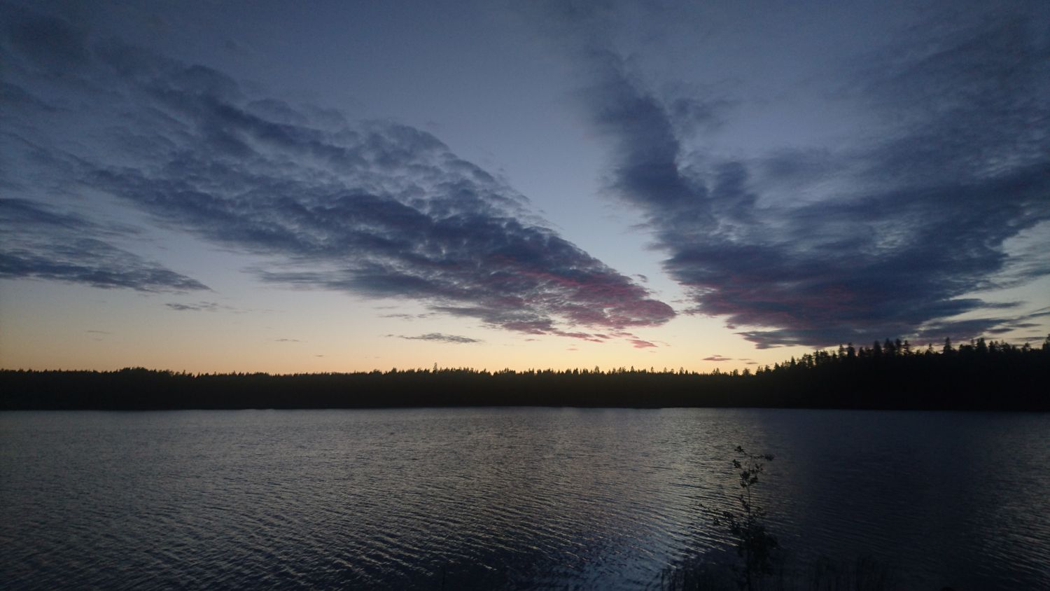 milja_s's profile banner image