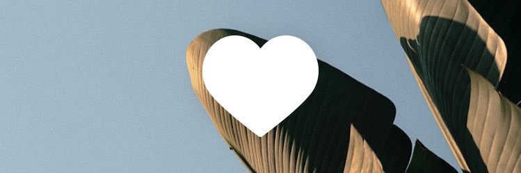 duffy_ryuuzi's profile banner image