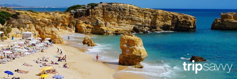 TripSavvy's profile banner image